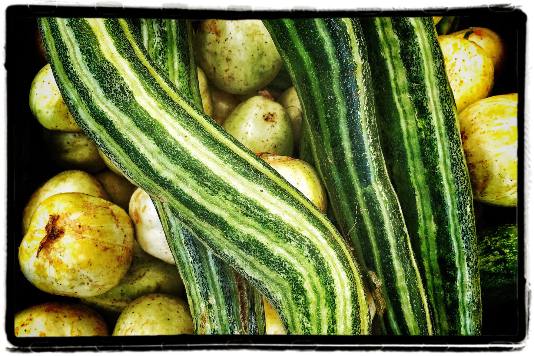 Farmers Market
